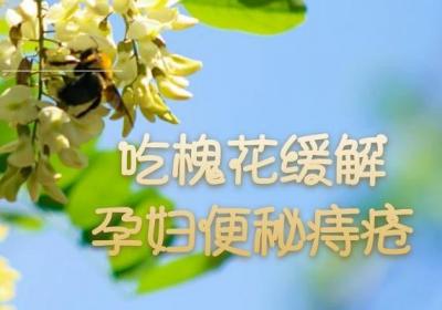 孕妇吃槐花的好处与禁忌