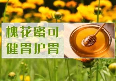 槐花蜜的功效与作用及禁忌有哪些？
