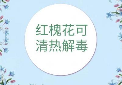 红槐花的功效与作用及禁忌有哪些？