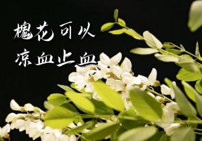 槐花的功效与作用及禁忌有哪些？