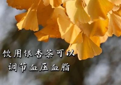 银杏茶的功效与作用有哪些？