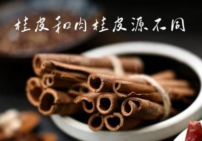 桂皮与肉桂的区别是什么？怎么区分呢？