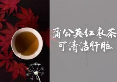 蒲公英红枣茶的功效与作用及饮用禁忌有哪些？