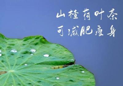 女性喝山楂荷叶茶的好处有哪些？这五种功效有利于女性