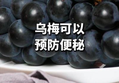女性吃乌梅的好处有哪些？这5种好处女性朋友一定要知道哦