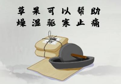 关于草果的功效与作用及禁忌人群分别有哪些？