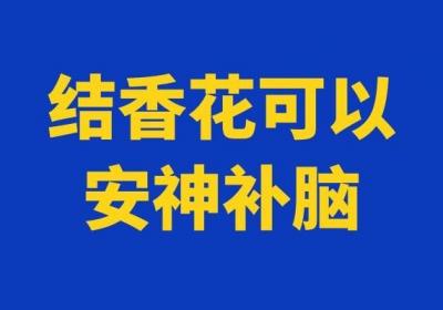 结香花的功效与作用及禁忌分别是什么