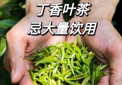 饮用丁香叶茶的禁忌事项有哪些？