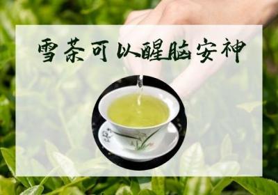 雪茶的功效与作用及禁忌有哪些？