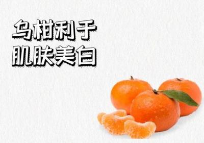 食用乌柑的功效与作用及禁忌分别是什么呢？