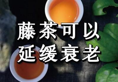 藤茶的功效与作用及饮用禁忌有哪些？