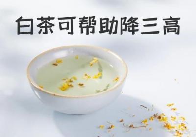 白茶的功效与作用及饮用禁忌有哪些？