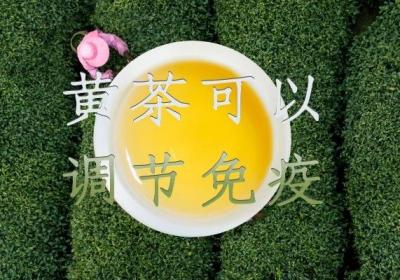 什么是黄茶？饮用黄茶的功效与作用有哪些？