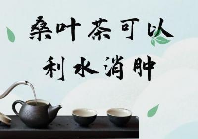 饮用桑叶茶的功效与作用及禁忌分别是什么？