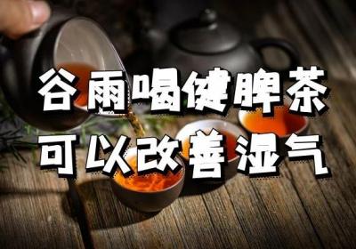 谷雨养生茶饮有哪些？这六款茶合理饮用效果好