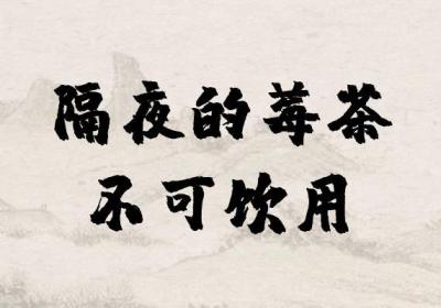 饮用莓茶的禁忌事项有哪些呢？