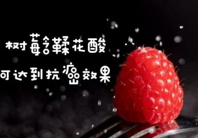 关于树莓的功效与作用及禁忌人群你了解多少？