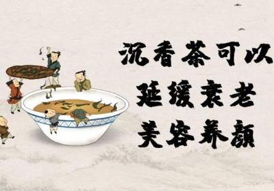 女性喝沉香茶的好处有哪些？关于沉香茶你不知道的事