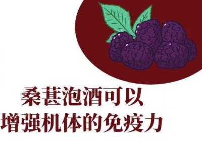 桑葚泡酒的功效与作用有哪些？桑葚泡酒的药理效果更强哦