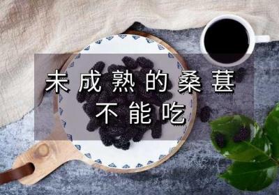 食用桑葚的禁忌有哪些？这几点要注意了