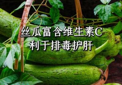 丝瓜的作用功效与禁忌是什么？丝瓜是不可小瞧的食材