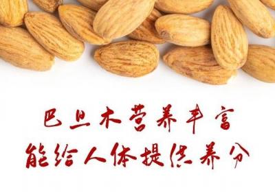 食用巴旦木的功效与作用及禁忌有哪些？