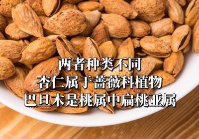 很多人都搞不清楚杏仁和巴旦木的区别是什么？
