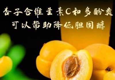 关于杏的营养价值及功效与作用和禁忌的介绍