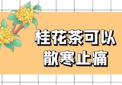 桂花茶的功效与作用及禁忌人群有哪些？