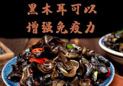 黑木耳的功效与作用及食用禁忌有哪些？