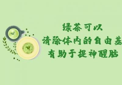 适合春季饮用的春季养生茶有哪些？