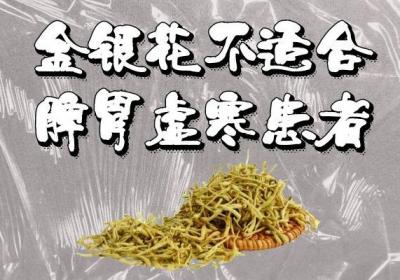 金银花的禁忌人群有哪些？以下人群需要注意了