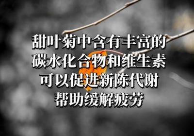 甜叶菊的功效与禁忌分别是什么？