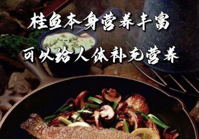 桂鱼的营养价值及功效与作用及禁忌分别是什么？