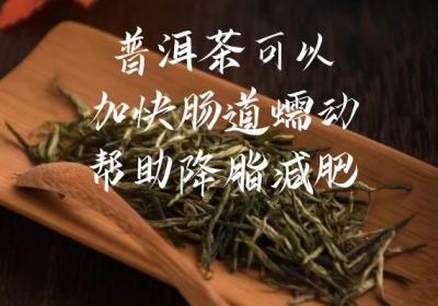 普洱茶的功效与作用及禁忌人群有哪些？