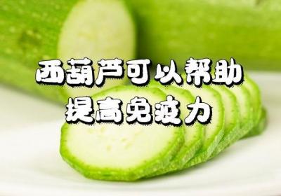 西葫芦的功效与作用及食用禁忌有哪些？