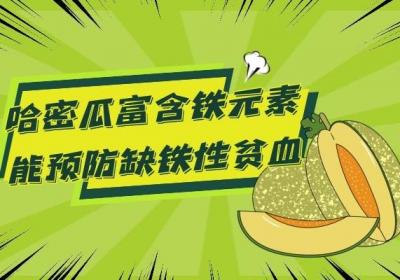 哈密瓜的功效和作用是什么？食用禁忌又有哪些呢？