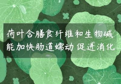 荷叶的功效与作用是什么？