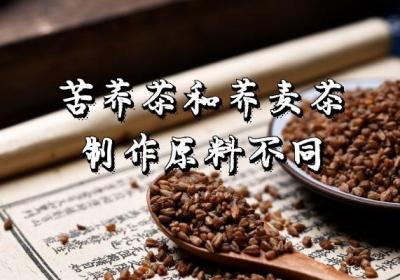 苦芥茶与荞麦茶的区别有哪些？这几个方面帮助你有效区分