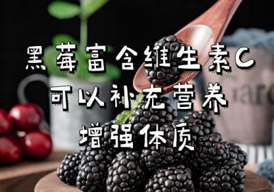食用黑莓的功效与作用及禁忌有那哪些？