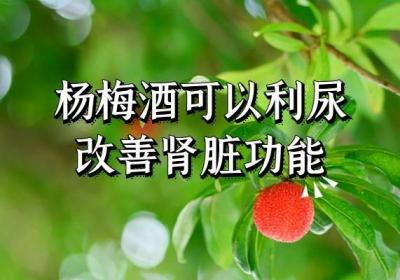 杨梅酒的功效和作用与禁忌有哪些？以下这几点大家了解吗