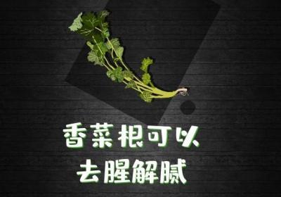 香菜根有哪些功效与作用？其食用禁忌是什么？