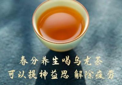春分养生茶有哪些？这几款非常适合春分饮用