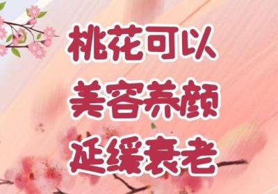 关于桃花功效和作用及食用方法的相关介绍