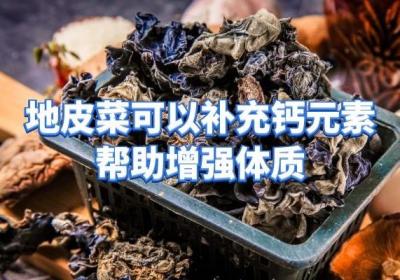 什么是地皮菜？地皮菜的功效与作用及禁忌分别是什么？