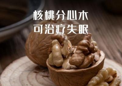 核桃分心木的功效与作用有哪些？