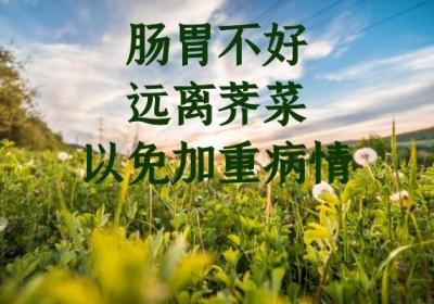 什么人不能吃荠菜呢？荠菜的禁忌人群有以下这几类