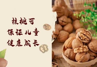 核桃的功效与作用是什么？有哪些营养价值？