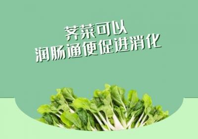 荠菜有哪些营养成分？荠菜的功效与作用是什么？