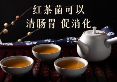 红茶菌有哪些功效与作用？其饮用禁忌有哪些？